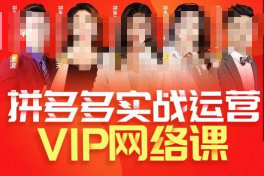 推易拼多多VIP全套直播课程，拼多多店铺实操玩法+实战玩法选款内功+直通车高阶等-恒创联盟资源网