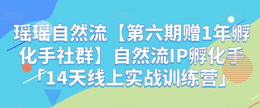 瑶瑶自然流【第六期赠1年孵化手社群】自然流IP孵化手「14天线上实战训练营」-恒创联盟资源网