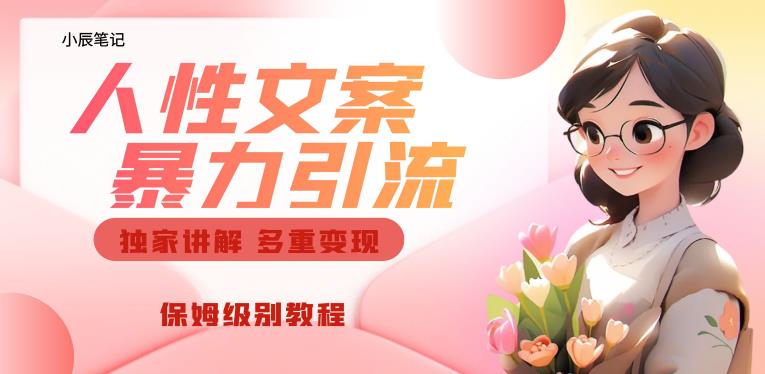 独家人性文案玩法，暴力引流多重变现，保姆级教程【揭秘】-恒创联盟资源网