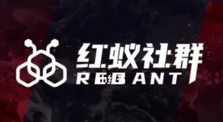 社群运营：红蚁社群【48节落地系统课程+2000人高端社群】-恒创联盟资源网