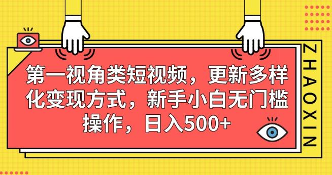 第一视角类短视频，更新多样化变现方式，新手小白无门槛操作，日入500+【揭秘】-恒创联盟资源网
