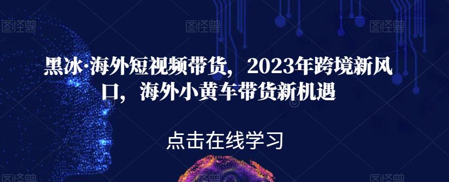 黑冰·海外短视频带货，2023年跨境新风口，海外小黄车带货新机遇-恒创联盟资源网