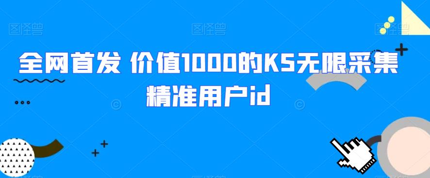 全网首发 价值1000的KS无限采集精准用户id-恒创联盟资源网
