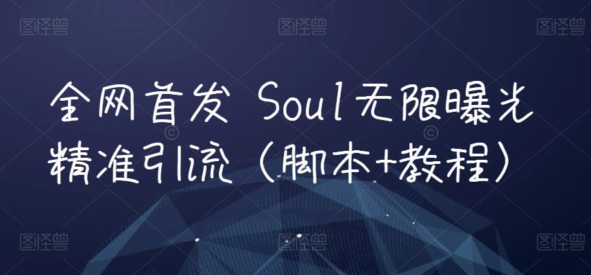 全网首发 Soul无限曝光精准引流（脚本+教程）-恒创联盟资源网