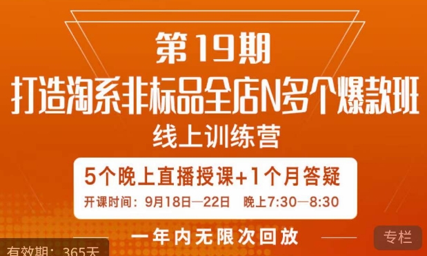 打造淘系非标全店N多个爆款线上课，​5天直播课-恒创联盟资源网