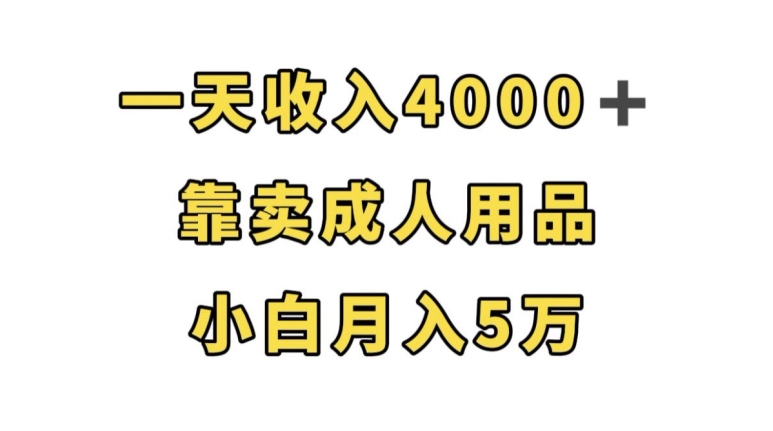 一天收入4000+，靠卖成人用品，小白轻松月入5万【揭秘】-恒创联盟资源网