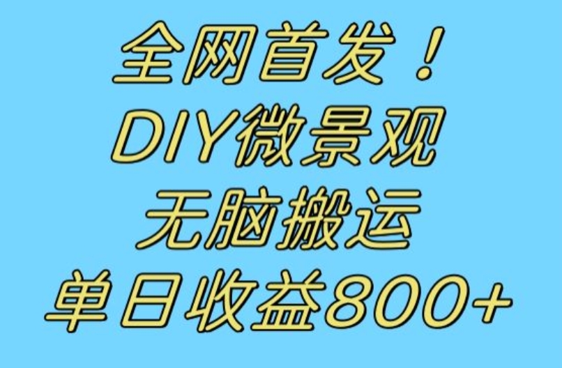 全网首发冷门赛道！DIY微景观，无脑搬运视频，日收益800+【揭秘】-恒创联盟资源网