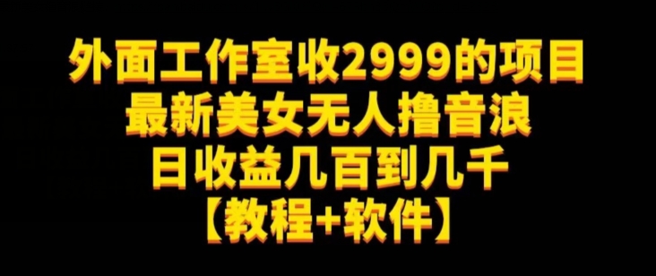 外面工作室收2999的项目最新美女无人撸音浪日收益几百到几千【教程+软件】（仅揭秘）-恒创联盟资源网