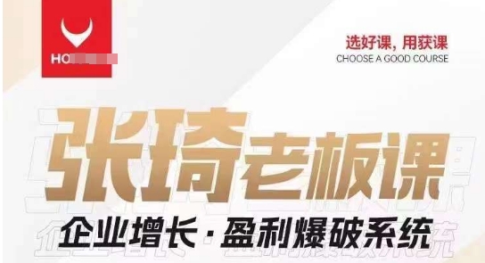 【组合课】张琦张琦老板企业增长·盈利爆破系统（直播专享）-恒创联盟资源网