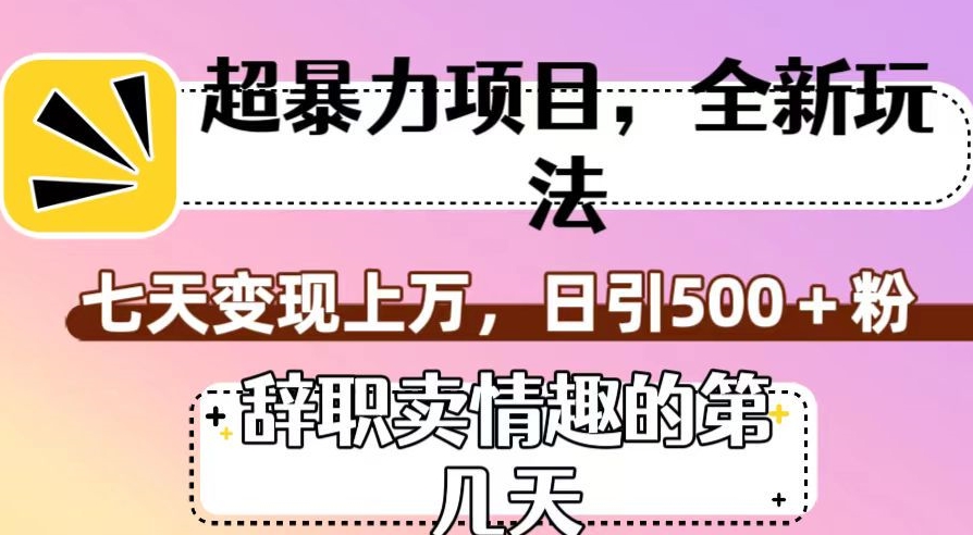 超暴利项目,全新玩法(辞职卖情趣的第几天),七天变现上万,日引500+粉【揭秘】-恒创联盟资源网