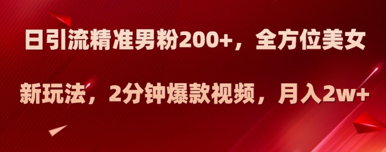 日引流精准男粉200+，全方位美女新玩法，2分钟爆款视频，月入2w+【揭秘】-恒创联盟资源网