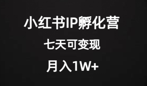 价值2000+的小红书IP孵化营项目，超级大蓝海，七天即可开始变现，稳定月入1W+-恒创联盟资源网
