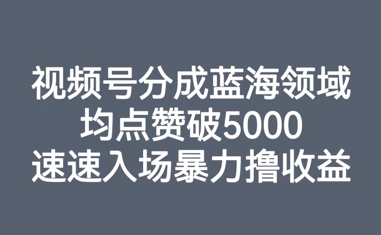视频号分成蓝海领域，均点赞破5000，速速入场暴力撸收益-恒创联盟资源网