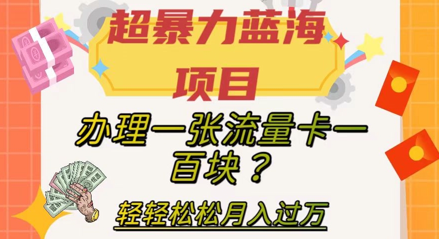 超暴力蓝海项目，办理一张流量卡一百块？轻轻松松月入过万，保姆级教程【揭秘】-恒创联盟资源网