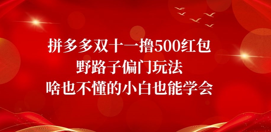 拼多多双十一撸500红包野路子偏门玩法，啥也不懂的小白也能学会【揭秘】-恒创联盟资源网