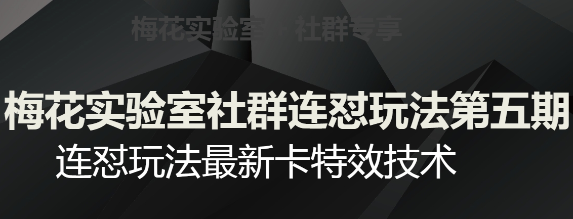 梅花实验室社群连怼玩法第五期，视频号连怼玩法最新卡特效技术-恒创联盟资源网