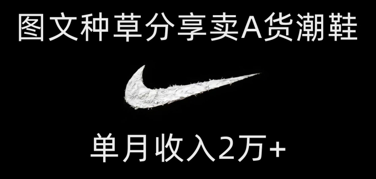 靠图文种草分享卖A货潮鞋，每天一小时，单月收入2万+【揭秘】-恒创联盟资源网