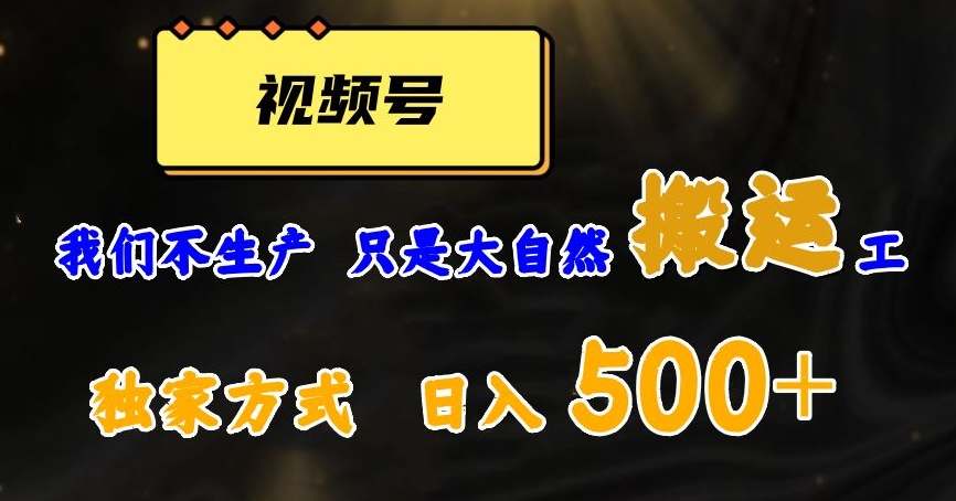 视频号轻松搬运日赚500+,一个1分钟1条原创视频【揭秘】-恒创联盟资源网
