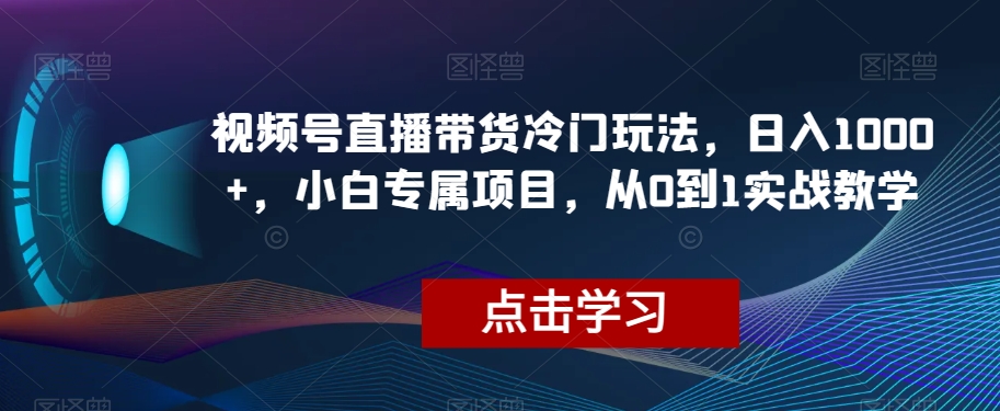 视频号直播带货冷门玩法，日入1000+，小白专属项目，从0到1实战教学【揭秘】-恒创联盟资源网