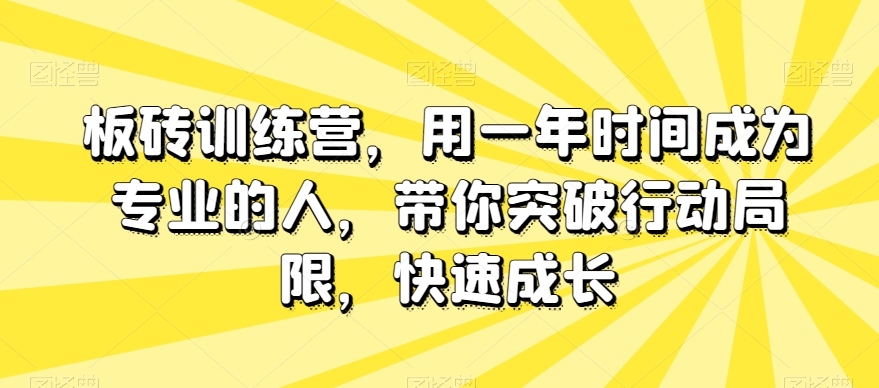板砖训练营，用一年时间成为专业的人，带你突破行动局限，快速成长-恒创联盟资源网