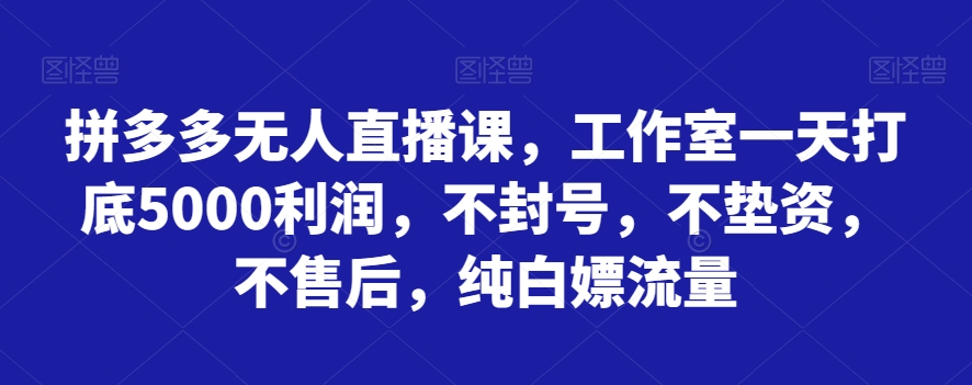 拼多多无人直播课，工作室一天打底5000利润，不封号，不垫资，不售后，纯白嫖流量-恒创联盟资源网