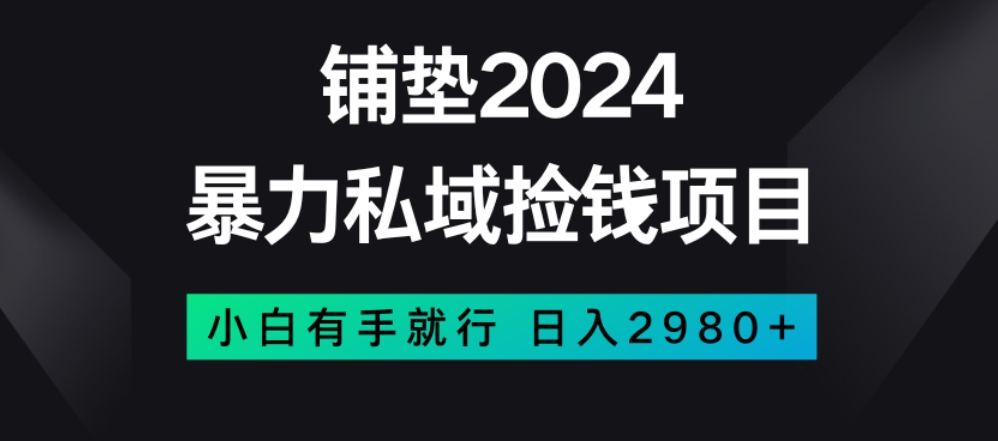 暴力私域捡钱项目，小白无脑操作，日入2980【揭秘】-恒创联盟资源网