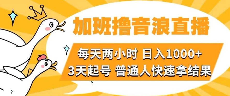加班撸音浪直播，每天两小时，日入1000+，直播话术才3句，3天起号，普通人快速拿结果【揭秘】-恒创联盟资源网