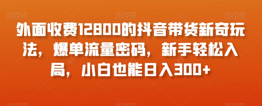 外面收费12800的抖音带货新奇玩法，爆单流量密码，新手轻松入局，小白也能日入300+【揭秘】-恒创联盟资源网