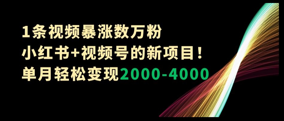 1条视频暴涨数万粉–小红书+视频号的新项目！单月轻松变现2000-4000【揭秘】-恒创联盟资源网