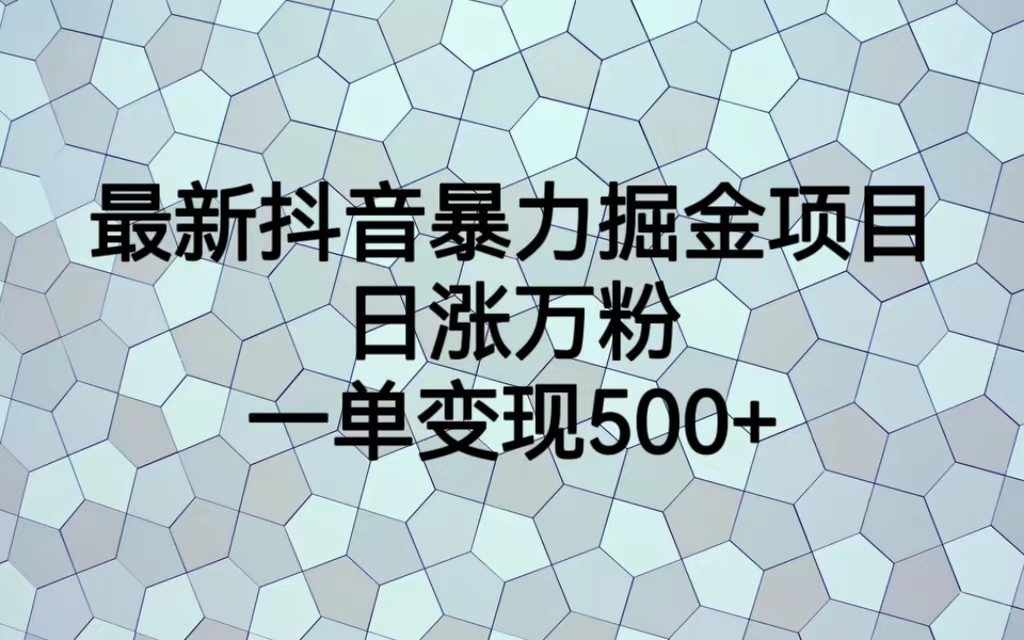 最新抖音暴力掘金项目,日涨万粉,一单变现500+-恒创联盟资源网