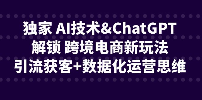 独家 AI技术&ChatGPT解锁 跨境电商新玩法，引流获客+数据化运营思维-恒创联盟资源网