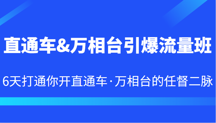 直通车&万相台引爆流量班 6天打通你开直通车·万相台的任督二脉-恒创联盟资源网