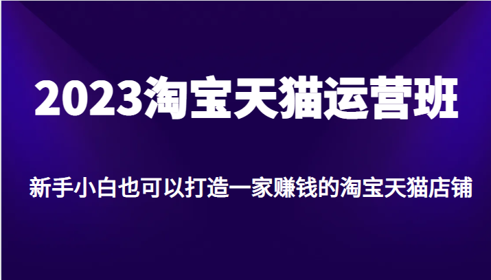 2023淘宝天猫运营班，新手小白也可以打造一家赚钱的淘宝天猫店铺-恒创联盟资源网