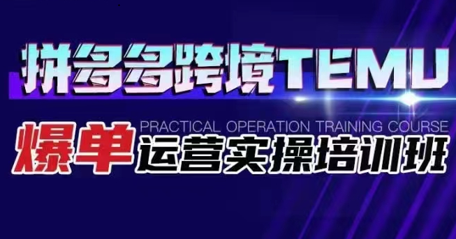 拼多多跨境TEMU爆单运营实操培训班 海外拼多多的选品、运营、爆单-恒创联盟资源网