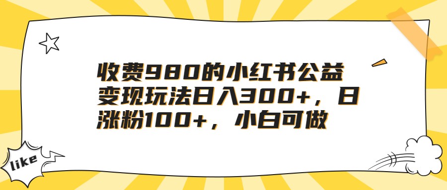 收费980的小红书公益变现玩法日入300+，日涨粉100+，小白可做-恒创联盟资源网