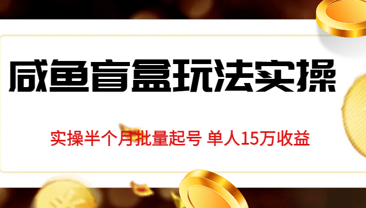 独家首发咸鱼盲盒玩法实操，半个月批量起号单人15万收益揭秘-恒创联盟资源网