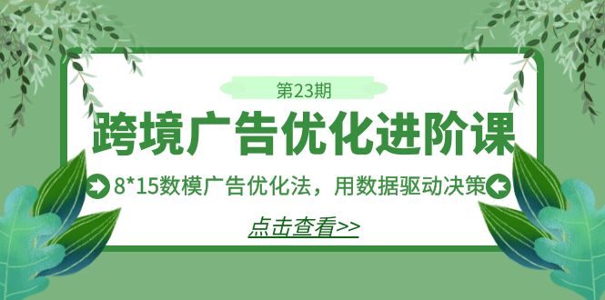 跨境广告·优化进阶课·第23期，8*15数模广告优化法，用数据驱动决策-恒创联盟资源网
