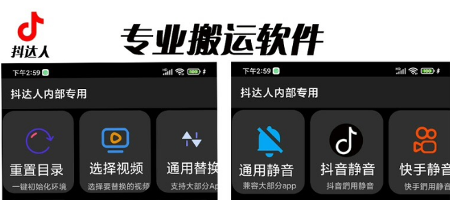 对外收费699抖音傻瓜式一键搬运，起号专用5分钟一个视频《软件+详细教程》-恒创联盟资源网