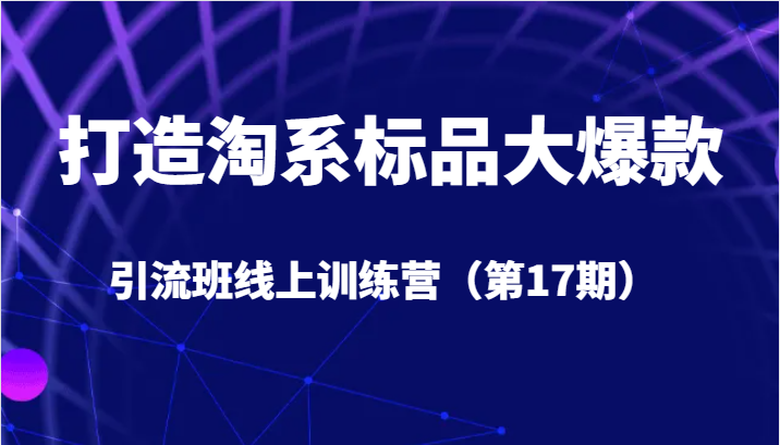 打造淘系标品大爆款引流班线上训练营（第17期）5天直播授课+1个月答疑-恒创联盟资源网