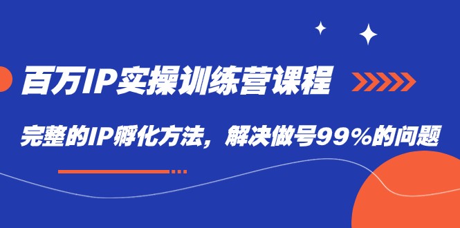 百万IP实战训练营课程，完整的IP孵化方法，解决做号99%的问题-恒创联盟资源网