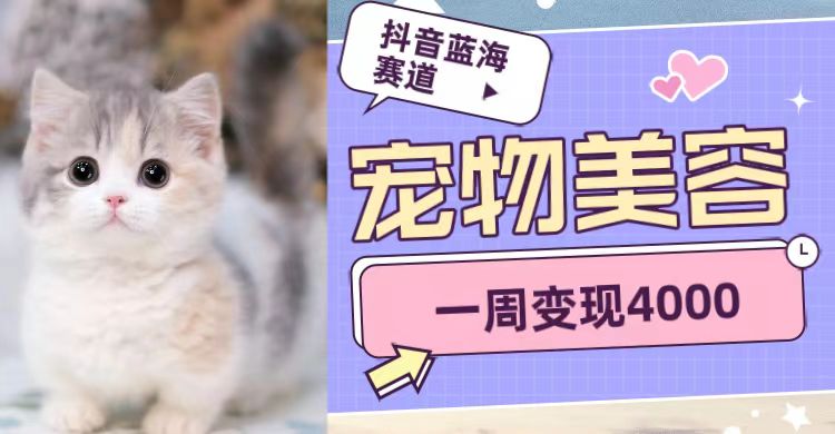 抖音蓝海赛道,宠物美容,一周变现4000-恒创联盟资源网