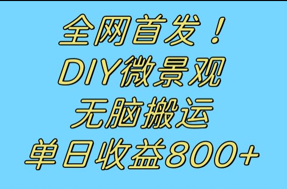 全网首发冷门赛道！DIY微景观，无脑搬运视频，日收益800+-恒创联盟资源网