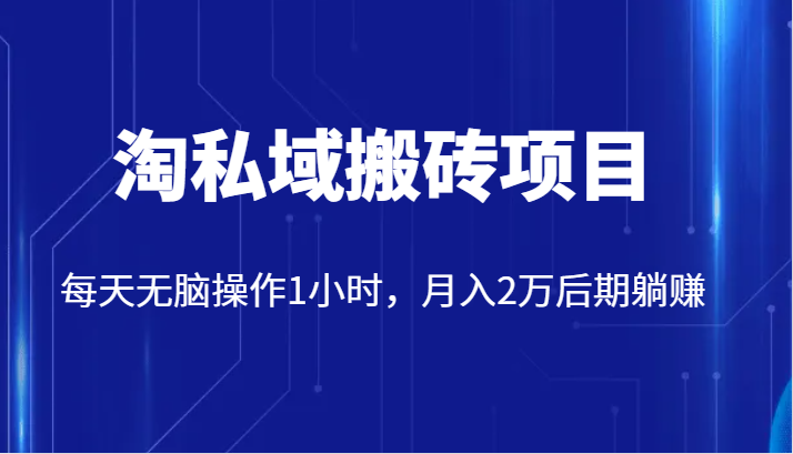 价值2980的淘私域搬砖项目，每天无脑操作1小时，月入2万后期躺赚-恒创联盟资源网