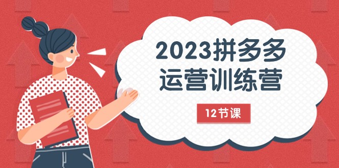 2023拼多多运营训练营：流量底层逻辑，免费+付费流量玩法（12节课）-恒创联盟资源网