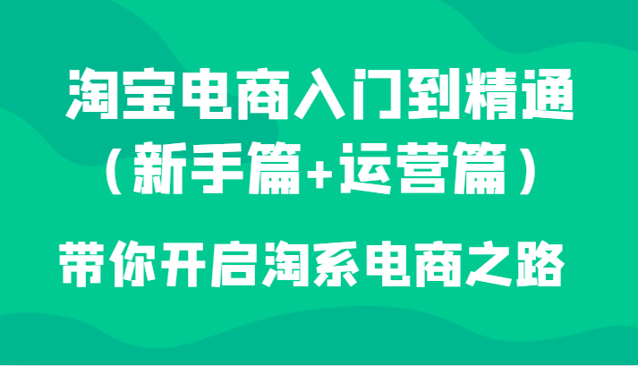 淘宝电商入门到精通（新手篇+运营篇）带你开启淘系电商之路-恒创联盟资源网