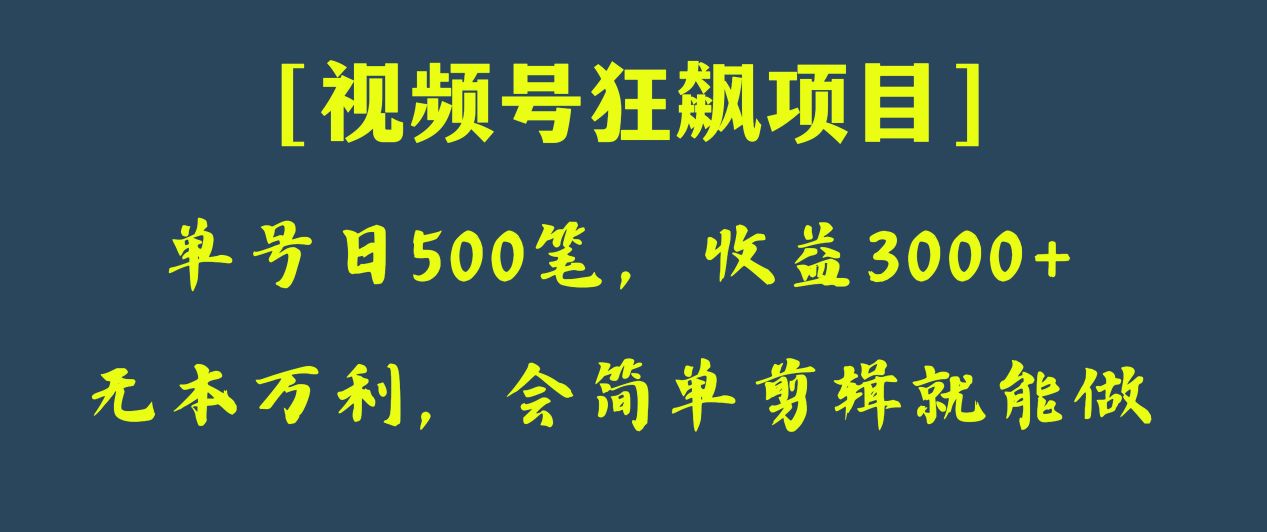 日收款500笔,纯利润3000+,视频号狂飙项目!-恒创联盟资源网