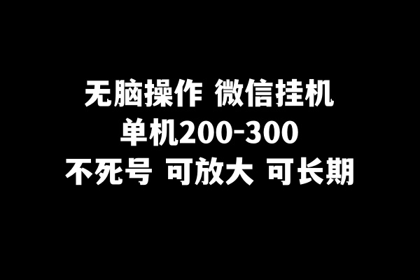 无脑操作微信挂机单机200-300一天，不死号，可放大-恒创联盟资源网
