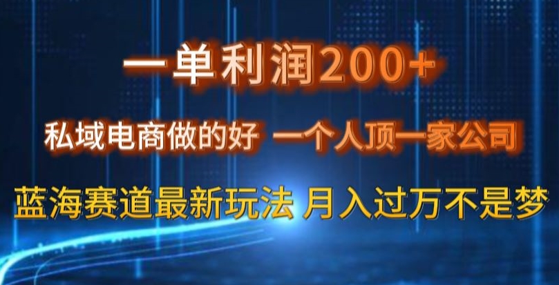 一单利润200私域电商做的好，一个人顶一家公司蓝海赛道最新玩法【揭秘】-恒创联盟资源网