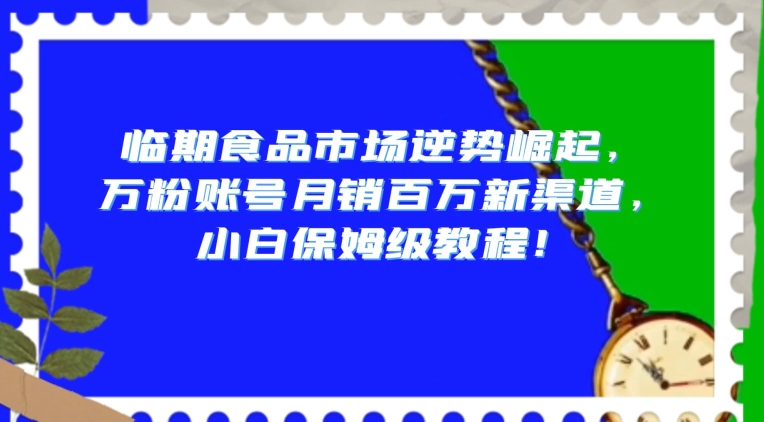 临期食品市场逆势崛起,万粉账号月销百万新渠道,小白保姆级教程【揭秘】-恒创联盟资源网