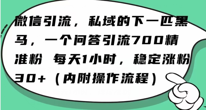 怎么搞精准创业粉？微信新赛道，每天一小时，利用Ai一个问答日引100精准粉-恒创联盟资源网